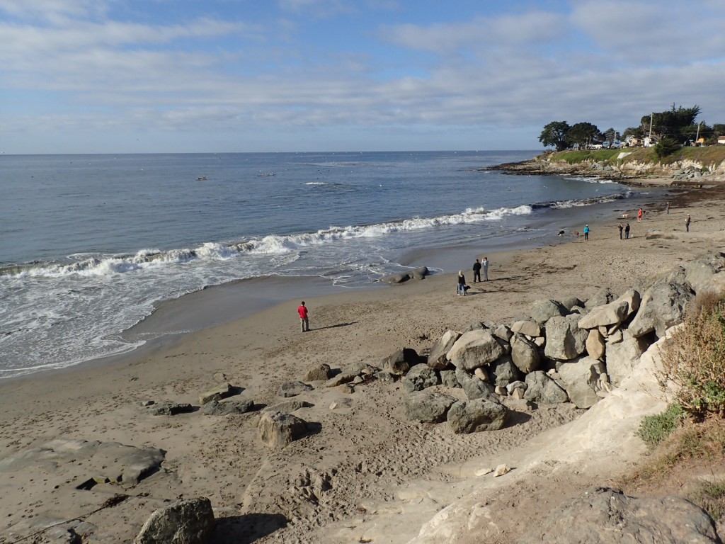 Mitchell's Cove in Santa Cruz, CA. 16 September 2015 © Allison J. Gong