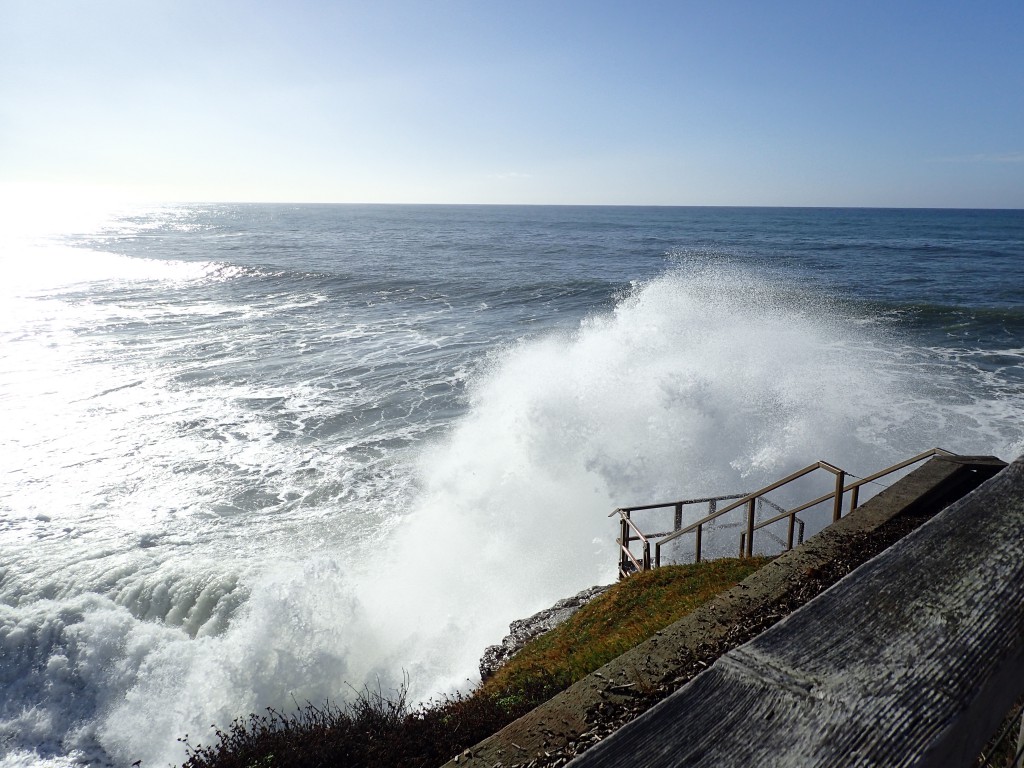 The wave approaches 12 December 2015 © Allison J. Gong