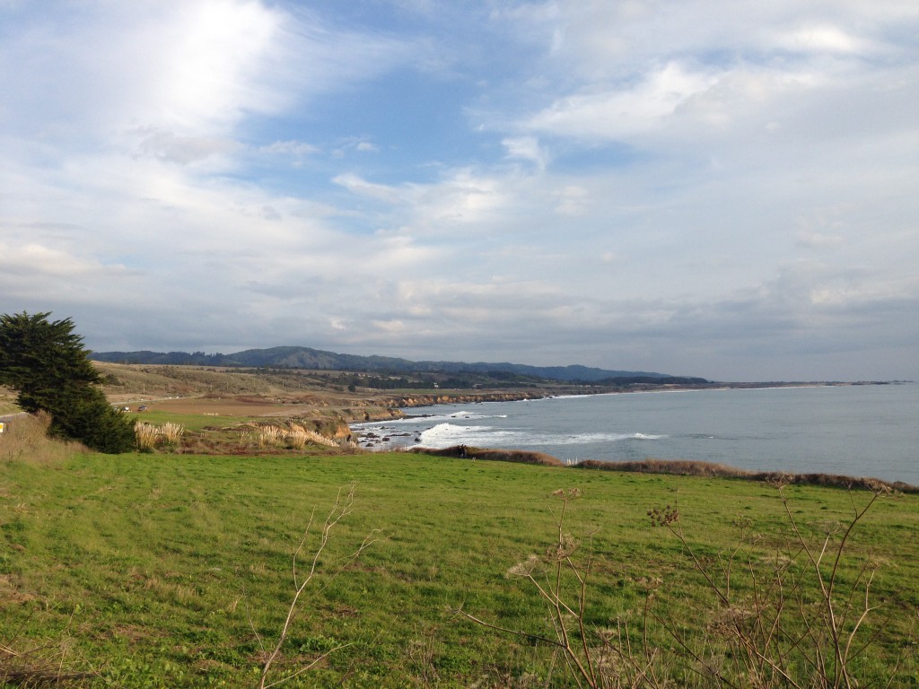 Highway 1 along the San Mateo County coast south of Pigeon Point. 1 January 2016 © Allison J. Gong