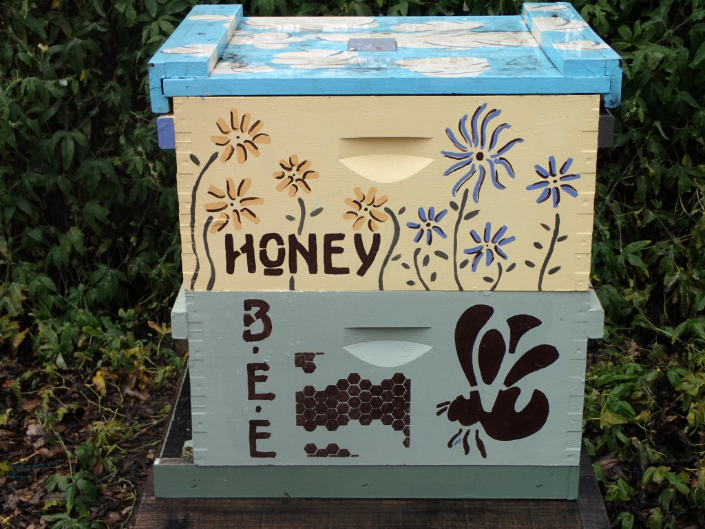 Bee hive in the Häagen-Dazs Honey Bee Haven garden at UC Davis. 16 January 2016 © Allison J. Gong