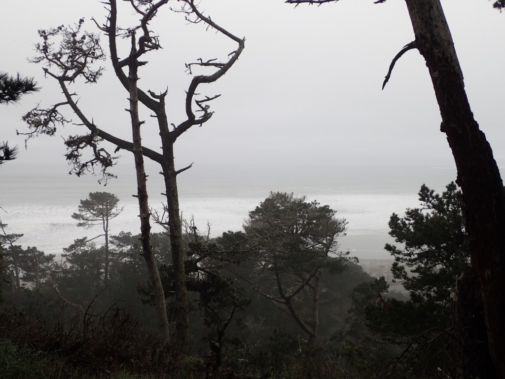 View of Pacific Ocean from Rancho del Oso. 29 January 2016 © Allison J. Gong