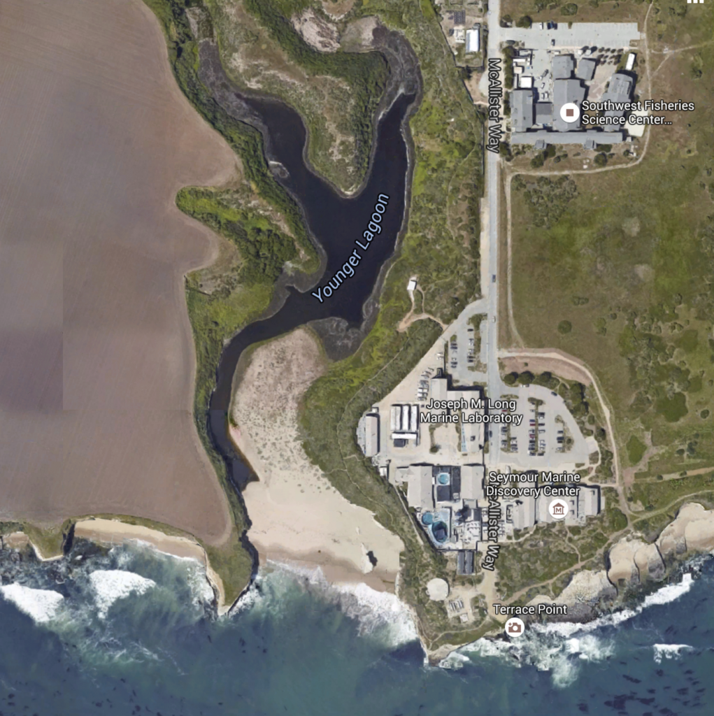 Map of UC Santa Cruz's Marine Science campus and adjacent Younger Lagoon Reserve.