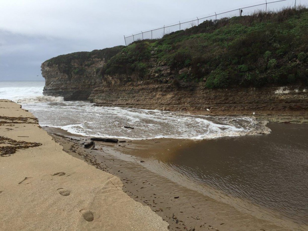 Temporary channel through the sand bar at the mouth of Younger Lagoon. 5 January 2016 © Younger Lagoon Reserve