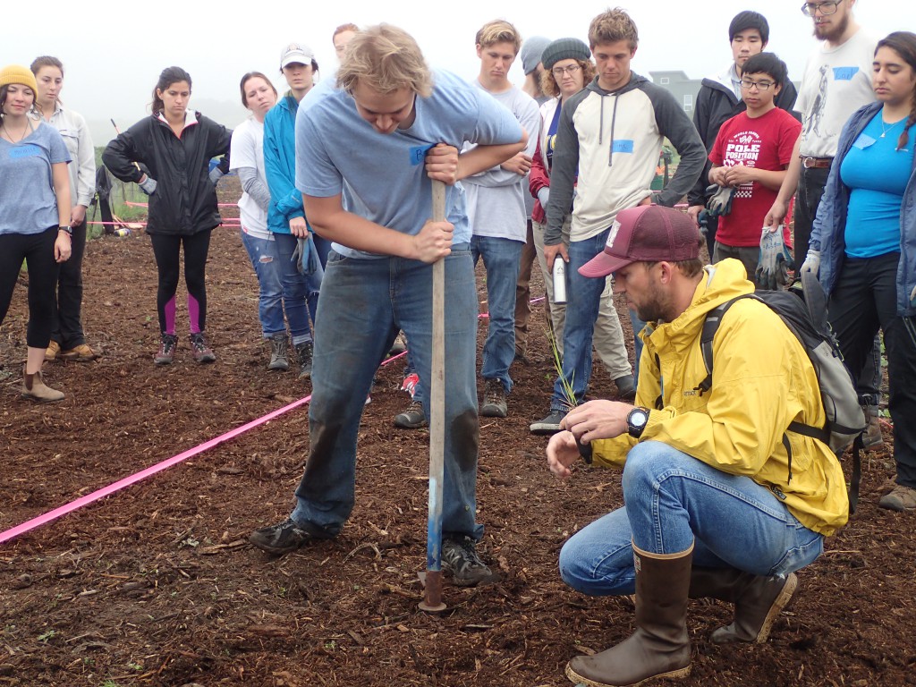 Demonstration of the "dibble dance." Younger Lagoon Reserve © Allison J. Gong