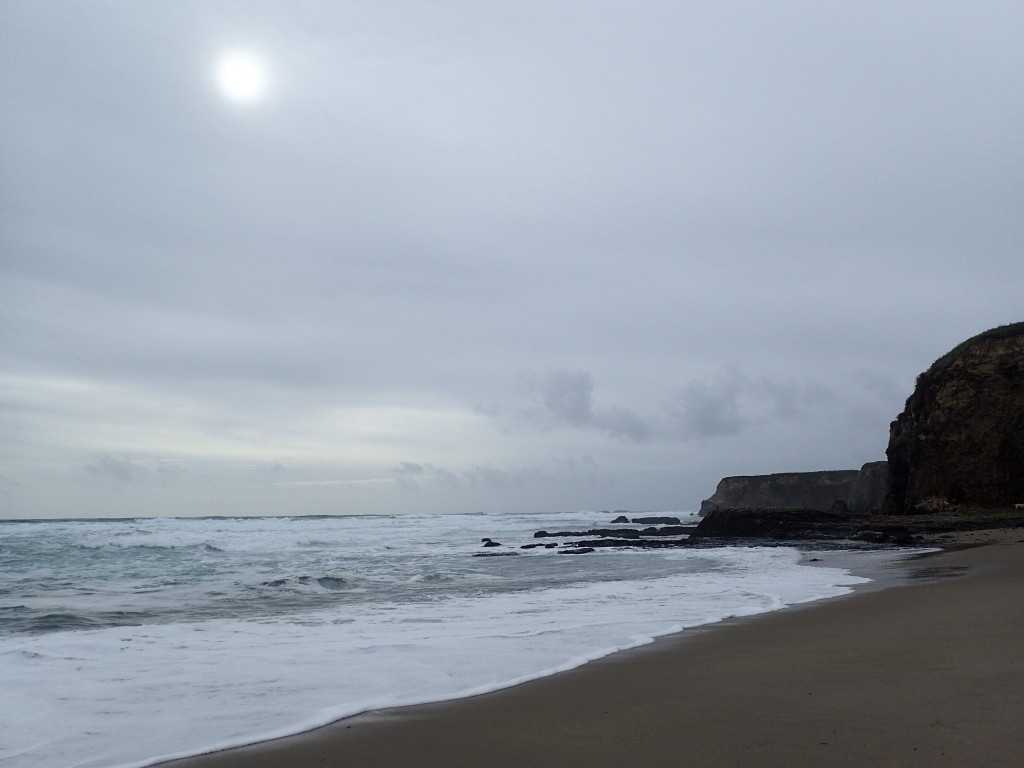 Davenport Beach