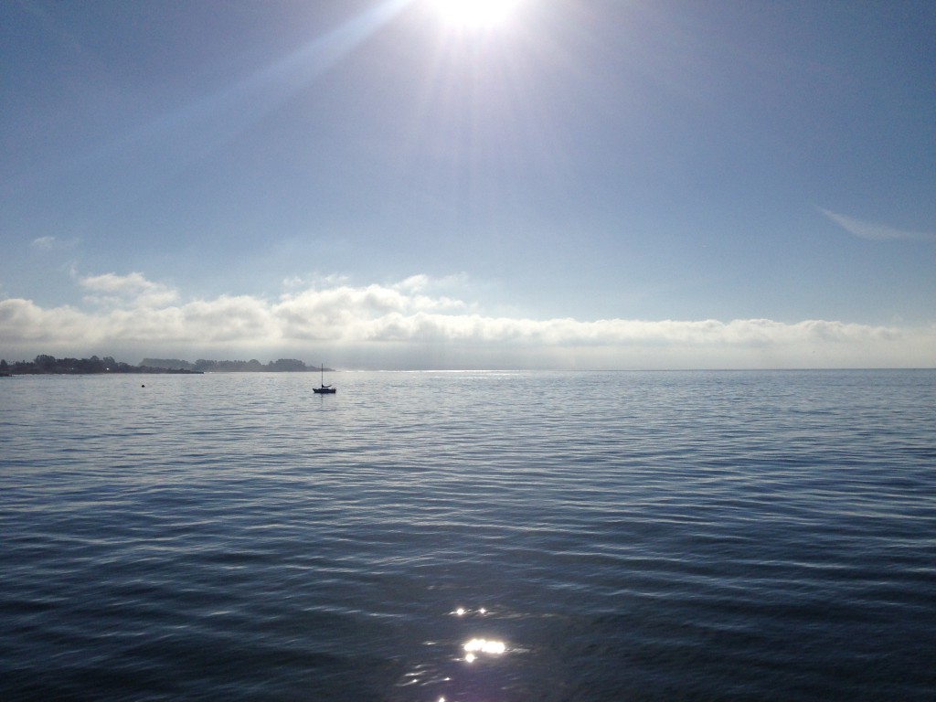 Morning on Monterey Bay. 1 April 2016 © Allison J. Gong