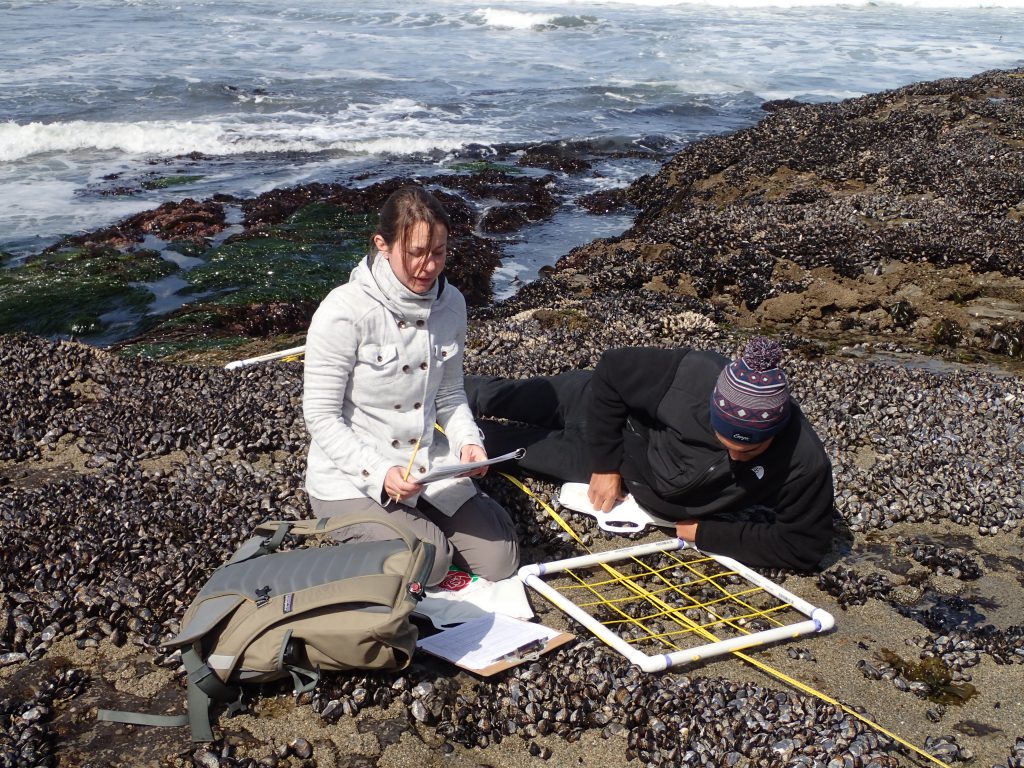 LiMPETS sampling 29 April 2016 © Allison J. Gong