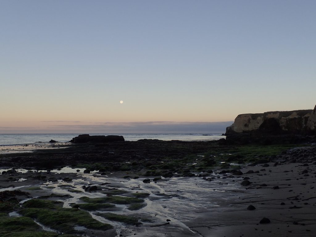 Full moon at dawn over Davenport Landing beach. 20 July 2016 © Allison J. Gong