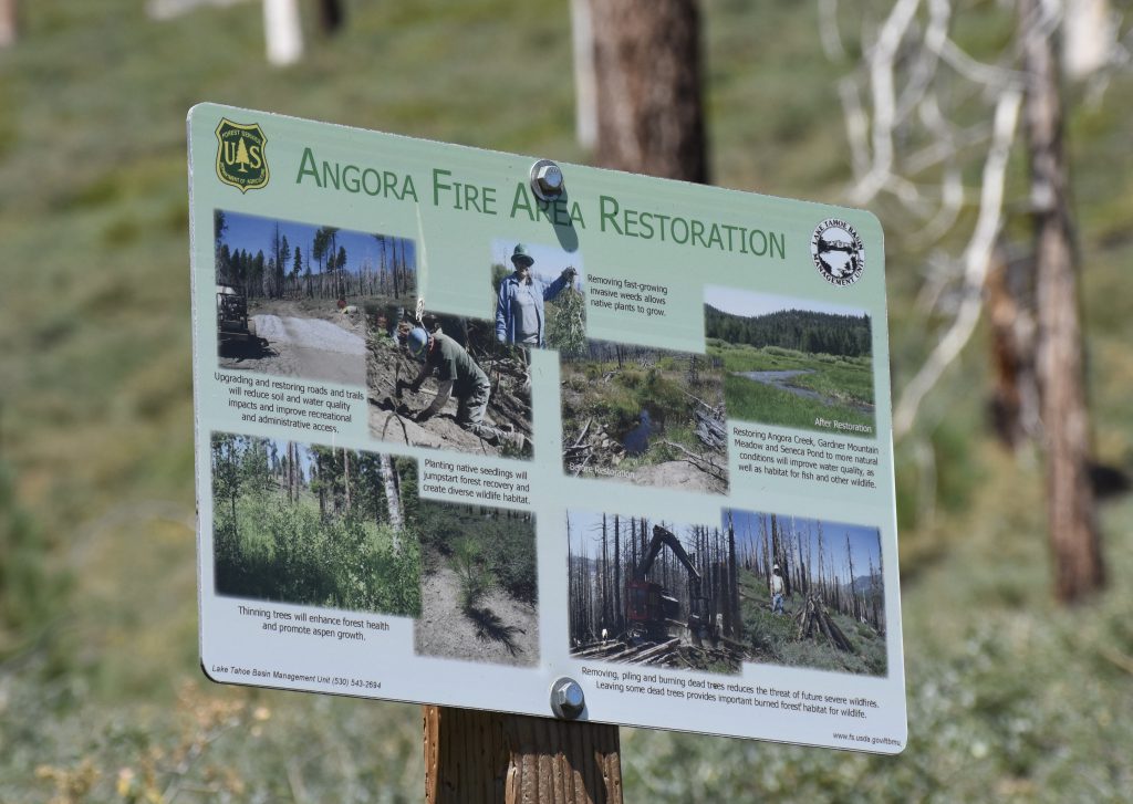 Post-fire restoration work at Angora 8 August 2016 © Allison J. Gong