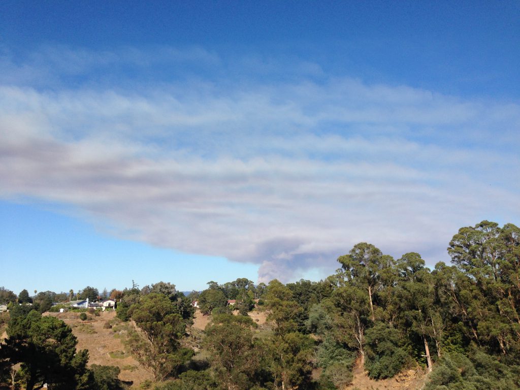 Smoke plume from the Loma Fire at 16:20. 26 September 2016 © Allison J. Gong