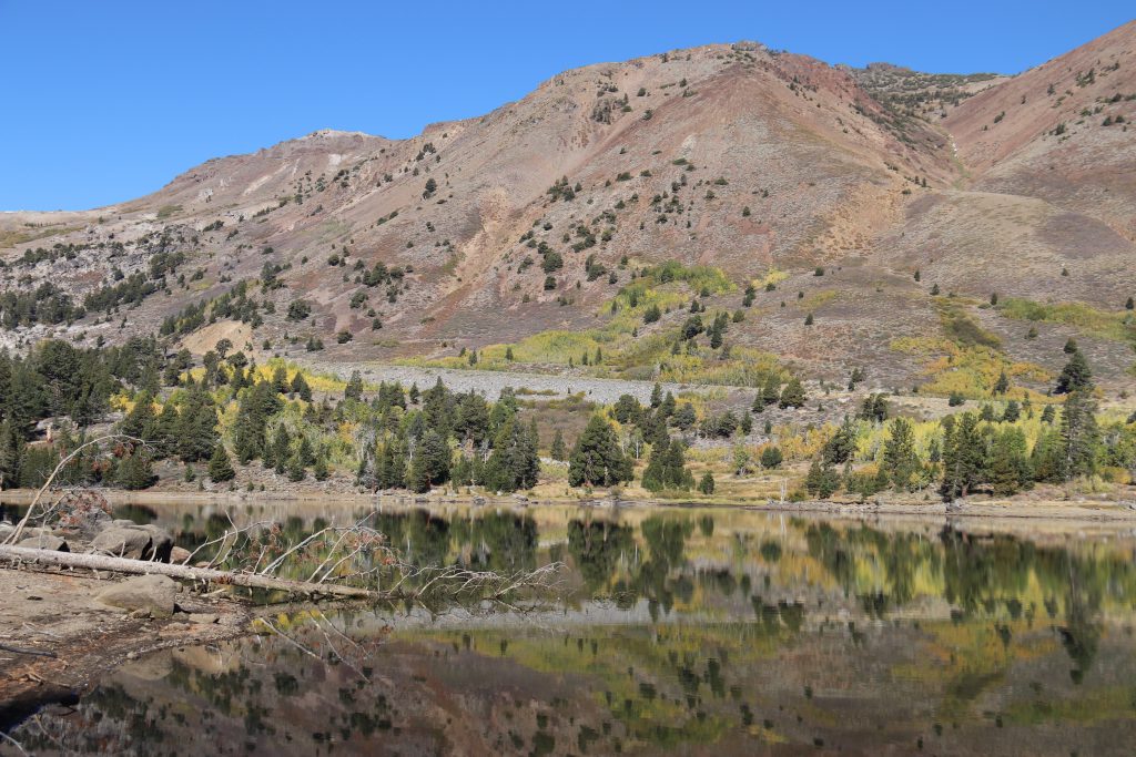 Fall colors reflected in Red Lake, near Carson Pass. 8 October 2016 © Allison J. Gong 