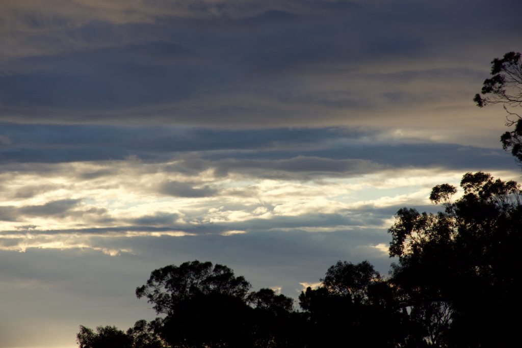 Morning sky 28 October 2016 © Allison J. Gong