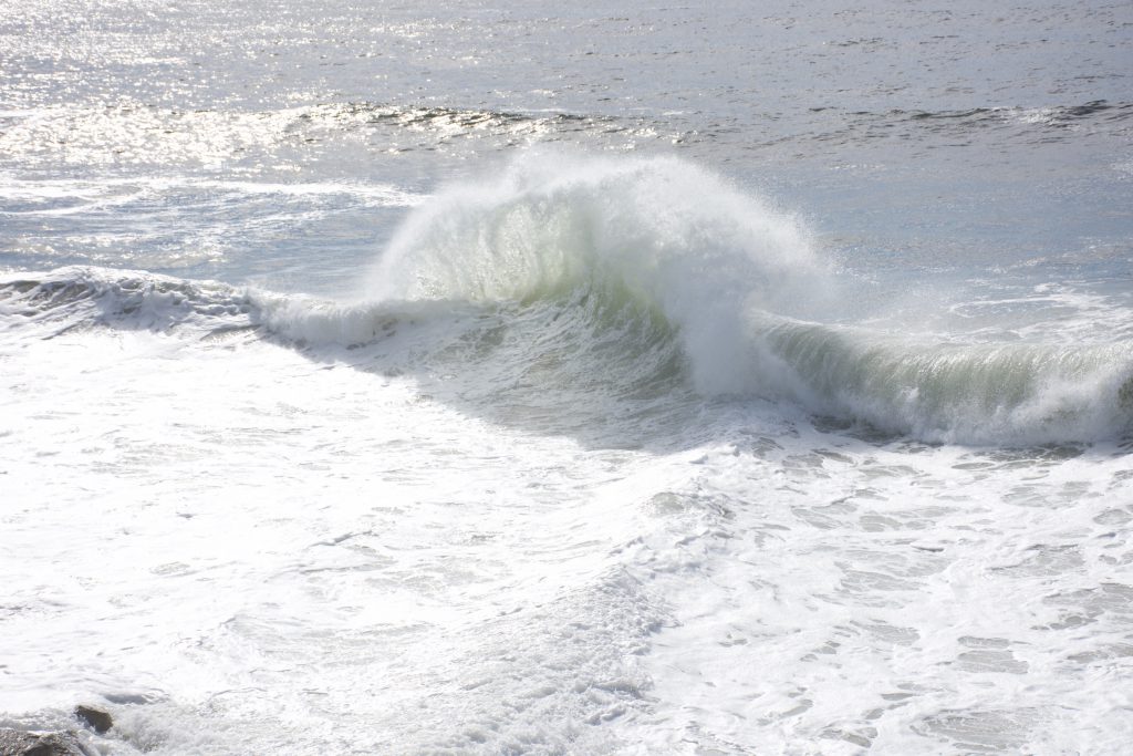 One of many large waves 31 October 2016 © Allison J. Gong