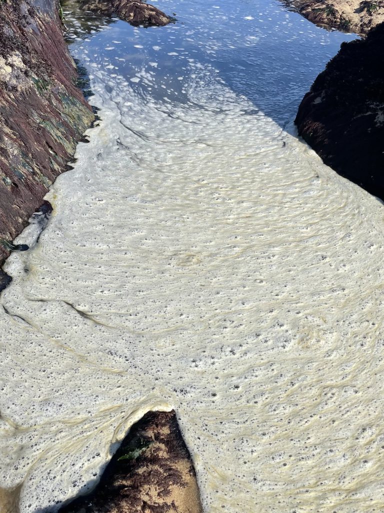 Foam on surface of water