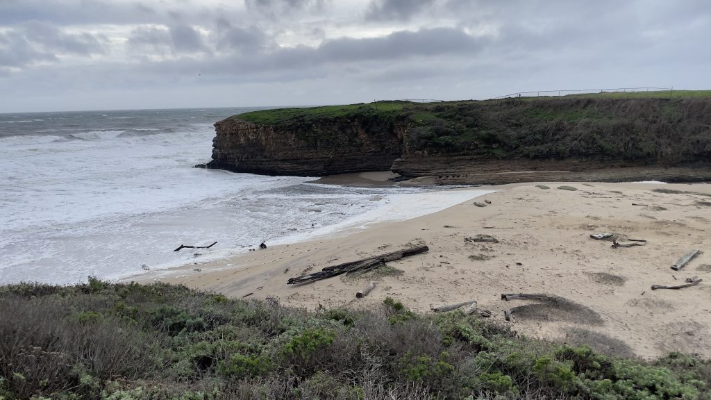 Green bushes in foreground. Sandy beach in midground, with ocean to the left. Green plants on top of dark brown cliff in background. Cloudy and dark sky above.